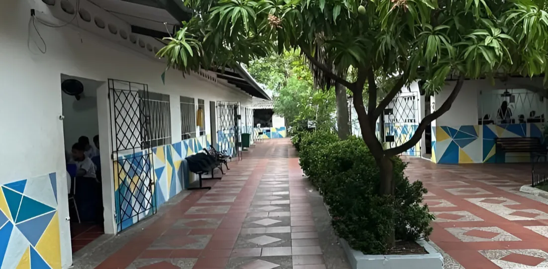 Fondo decorativo Estadio Senior